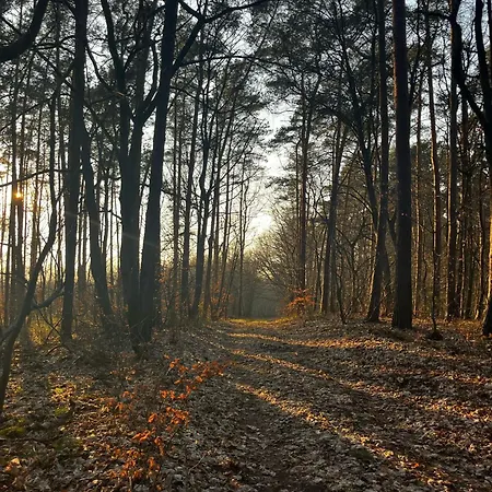Gut Rottmannshagen Mecklenburgische Seenplatte Apartmán
