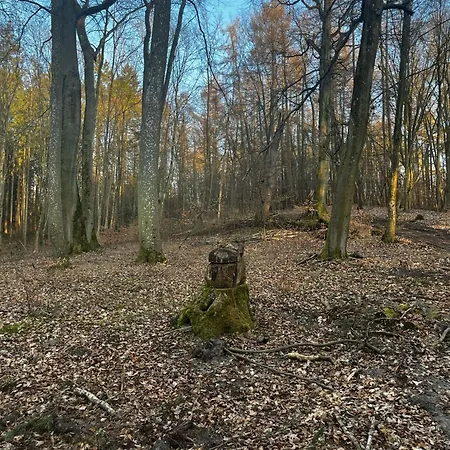 Gut Rottmannshagen Mecklenburgische Seenplatte Apartament Jurgenstorf