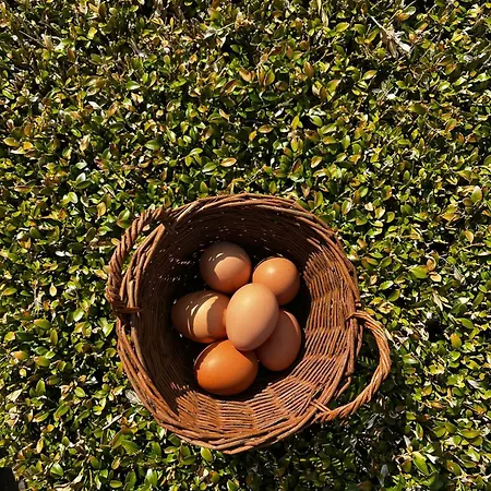 Gut Rottmannshagen Mecklenburgische Seenplatte Lägenhet Jurgenstorf