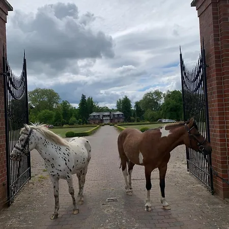 Gut Rottmannshagen Mecklenburgische Seenplatte Lejlighed *